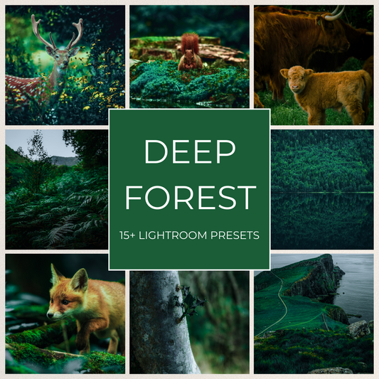 Deep Forest - 15 Lightroom Presets Pack