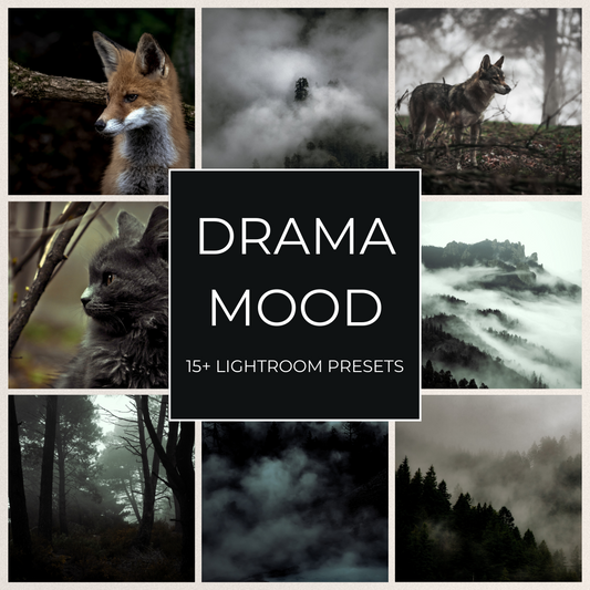 Drama Mood - 15 Lightroom Presets Pack