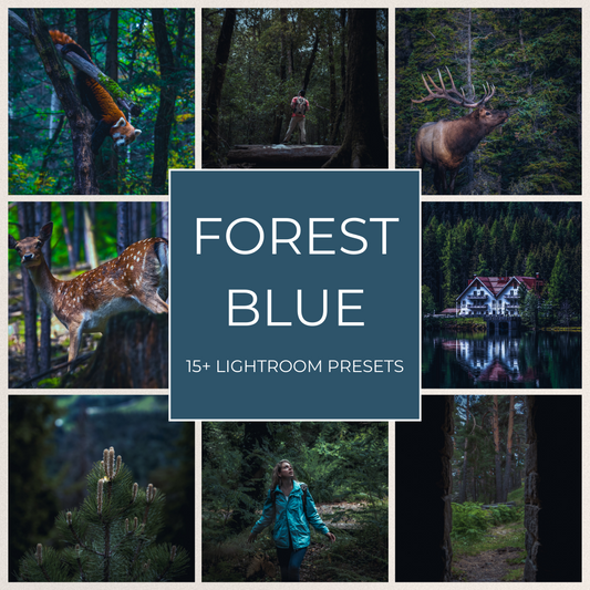 Forest Blue - 15 Lightroom Presets Pack
