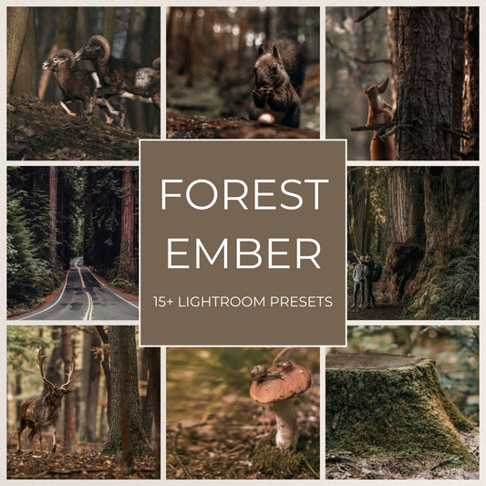 Forest Ember - 15 Lightroom Presets Pack