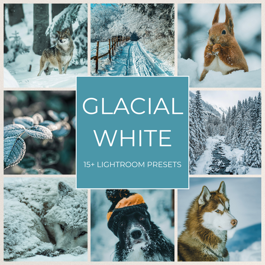 Glacial White - 15 Lightroom Presets Pack