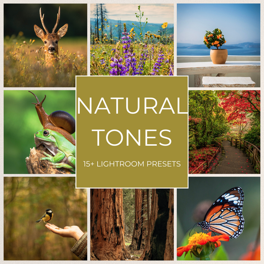 Natural Tones - 15 Lightroom Presets Pack