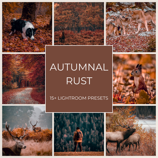 Autumnal Rust - 15 Lightroom Presets Pack