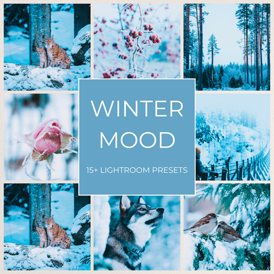 Winter Mood - 15 Lightroom Presets Pack