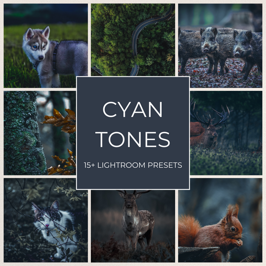 Cyan Tones - 15 Lightroom Presets Pack