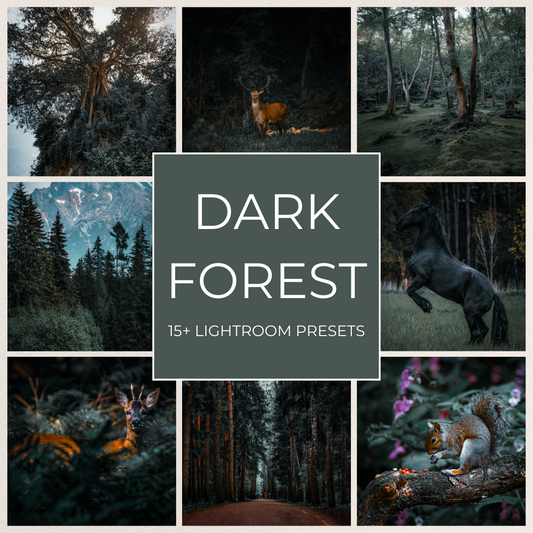 Dark Forest - 15 Lightroom Presets Pack