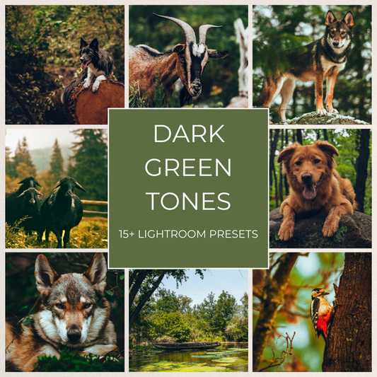 Dark Green Tones - 15 Lightroom Presets Pack